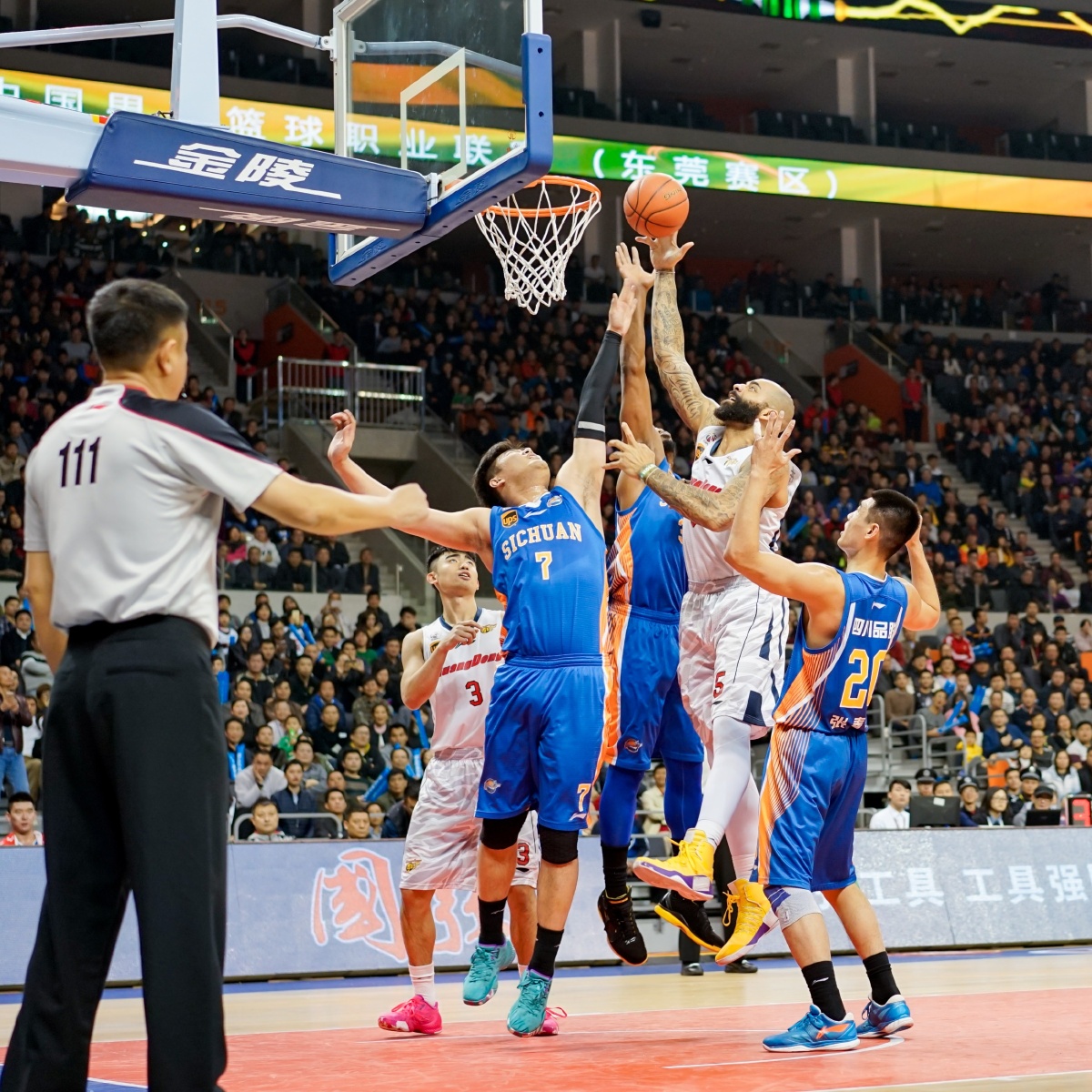 被忽视的基 被忽视的基